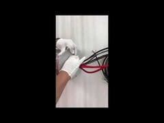 Anello di scivolo Ethernet ECN000-21P-06S-01EG